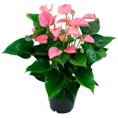 892d9bce-7e0f-11ee-ae0a-001e673ebdea-1