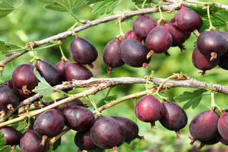 3218df61-1b88-11f0-8918-246e9611e8f6-1