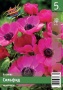 ed1e1cac-b44c-11ee-8bd7-001e673ebdea-1