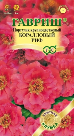 21433dab-c797-11de-87ae-0019dbe91ea3-1