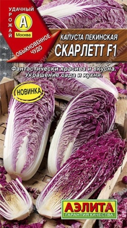 65e69c00-0a67-11ec-a8a4-005056c00008-1