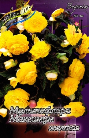 20c3edbd-2240-11e0-9fb4-00500454e615-1