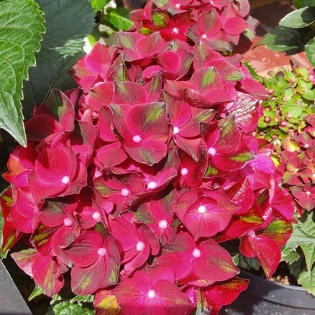 6ba0662d-e08c-11ef-8915-246e9611e8f5-1