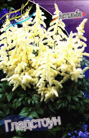 23eb59e6-3dac-11df-a2cf-00235435134b-1