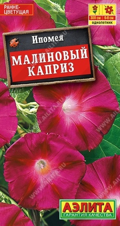7757a7bc-dcea-11dd-9138-00500454e615-1