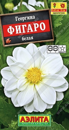 70f41b07-dcea-11dd-9138-00500454e615-1