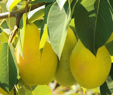 bf2c3257-be22-11f0-891d-246e9611e8f7-1