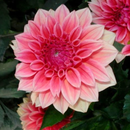 67511269-3e97-11ea-ab2f-005056c00008-1