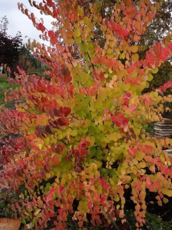 b89615f7-951b-11ea-a8e2-005056c00008-1