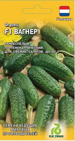 212c33a2-e865-11ea-86cc-005056c00008-1