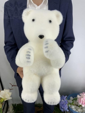 c58ec66d-caad-11f0-891e-246e9611e8f6-1