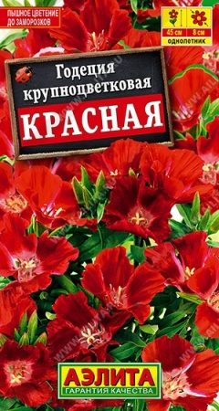 70f41b5b-dcea-11dd-9138-00500454e615-1