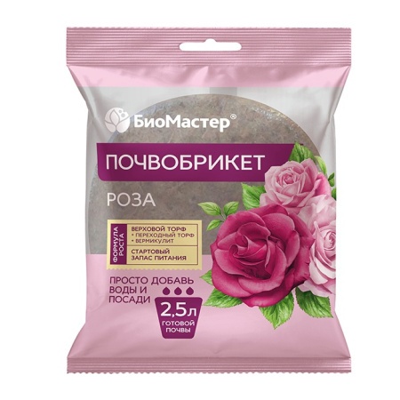 08caff31-bdff-11ef-8914-246e9611e8f5-1