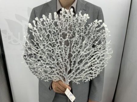 1710e36b-9cde-11ef-8912-246e9611e8f7-1