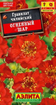 70f41bdc-dcea-11dd-9138-00500454e615-1