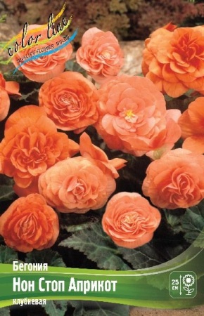 6c63a70b-b449-11ee-8bd7-001e673ebdea-1