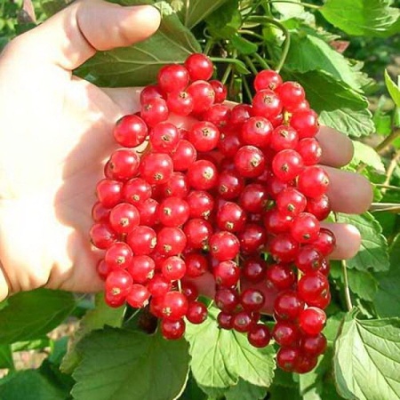 5b28b38e-3289-11f0-8918-246e9611e8f6-1