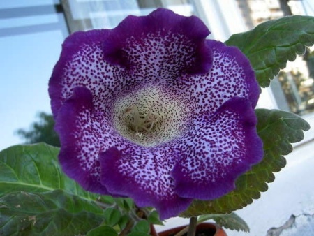 7d6a22df-fd91-11ef-8915-246e9611e8f5-1