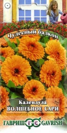 f4a8ca2d-e2a1-11df-b975-0019dbe91ea3-2