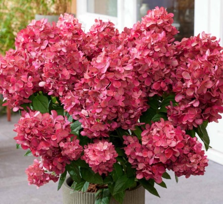 752bc3e0-bf07-11f0-891d-246e9611e8f7-1