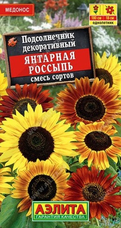 75b626f0-9d1f-11f1-892e-246e9611e8f6-1