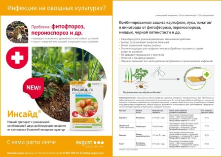 c5d5403b-20e5-11f0-8918-246e9611e8f6-1