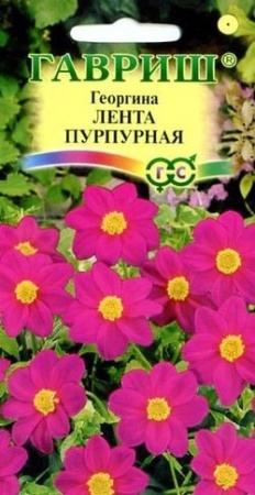 0bece959-2946-11e0-9fb4-00500454e615-1