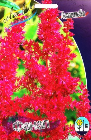 016beb88-3e12-11df-884b-0019dbe91ea3-1