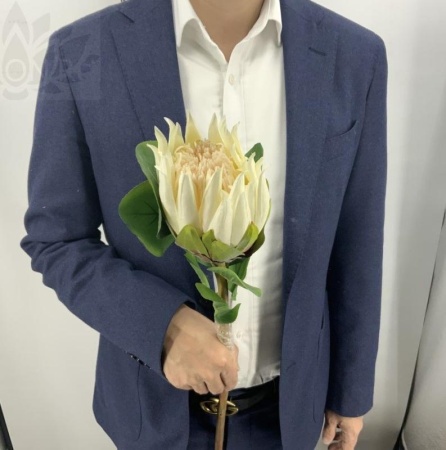 25610a03-cab1-11f0-891e-246e9611e8f6-1