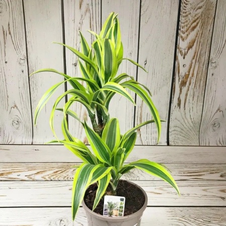 d036c64f-7d61-11ee-ae0a-001e673ebdea-1