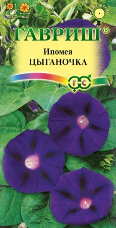 7757a7d8-dcea-11dd-9138-00500454e615-1