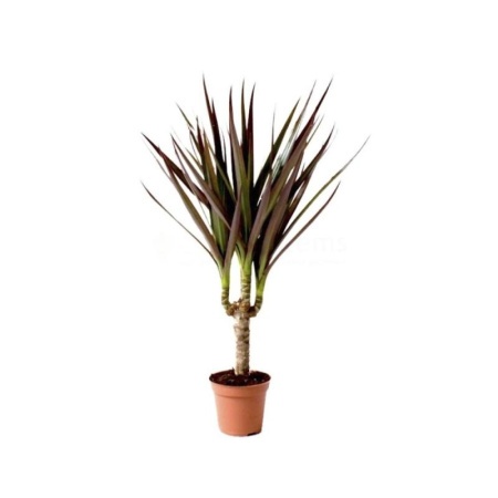 ef3b09ea-7d5f-11ee-ae0a-001e673ebdea-1