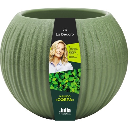 d0fb2dae-daf0-11ef-8915-246e9611e8f5-1