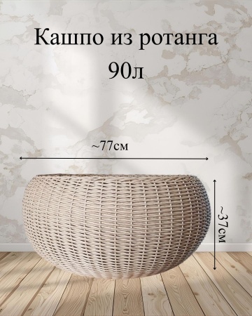 8656be66-da89-11f0-891e-246e9611e8f6-2