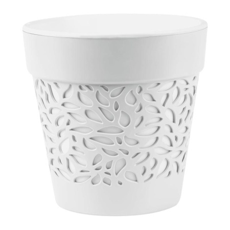 5b6e7510-da30-11ef-8915-246e9611e8f5-1