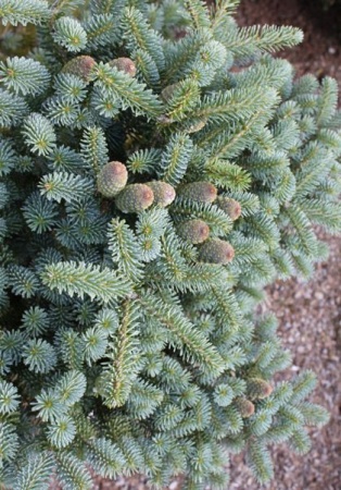 ed032a20-c1dc-11ef-8915-246e9611e8f5-1