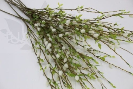 483d2db9-caa5-11f0-891e-246e9611e8f6-1