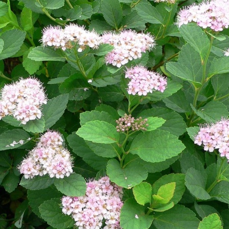 dd8fbc9a-06c9-11ef-890b-246e9611e8f5-1