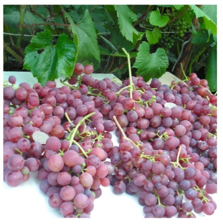 fb2faf78-b8a4-11f0-891d-246e9611e8f7-1