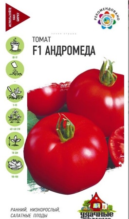 d933aa13-a395-11e8-9ac1-005056c00008-2