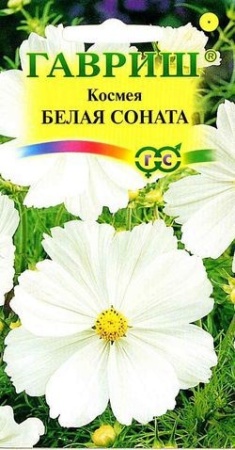 9d8dbecf-c615-11de-87ad-0019dbe91ea3-1