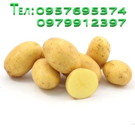 7d93a969-d1c3-11f0-891e-246e9611e8f6-2