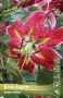1c2354cf-675f-11ed-bd4c-001e673ebdea-1