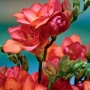 75a6ec36-88a5-11e2-8ea8-00500454e615-1
