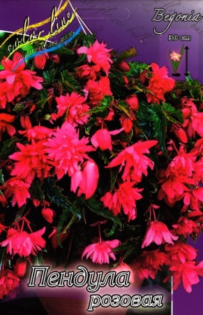 137d630a-721d-11ed-be6f-001e673ebdea-1