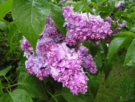 a6725f68-2f8e-11ef-890e-246e9611e8f7-1