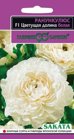 b92c2ef8-c58f-11e1-962c-00500454e615-1