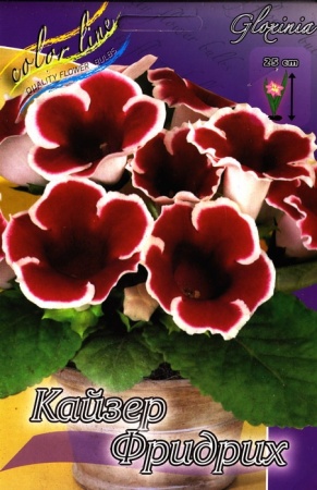 0270d0de-3741-11eb-b90a-005056c00008-2