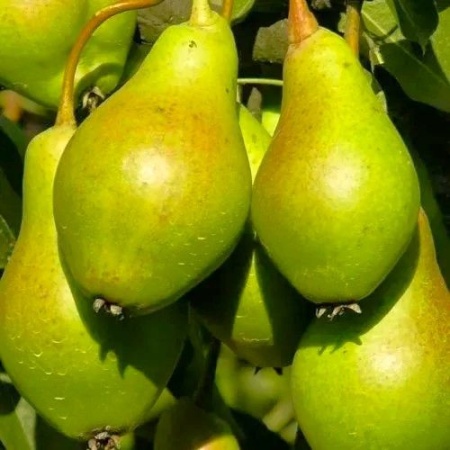 4106a8da-be0a-11f0-891d-246e9611e8f7-1