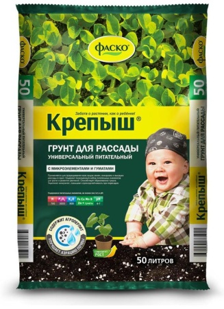 4986779a-35aa-11eb-b90a-005056c00008-1